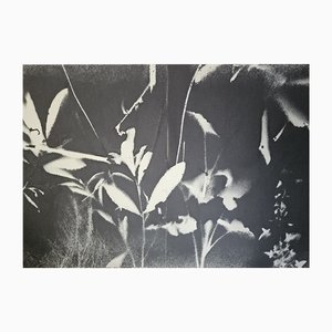 Stefano Mazzolini, RF3132, 2020, Acrylic on Paper