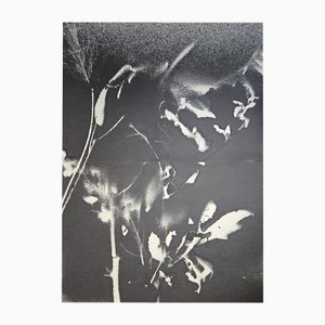 Stefano Mazzolini, RF3334, 2020, Acrylic on Paper