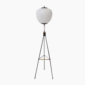 Lampadaire Tripode Vintage avec Verre Opalin de Stilnovo, 1950s