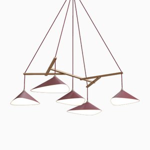 Emily Group of Five Hanging Light from Moss Objects