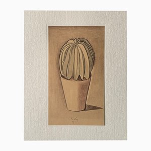 Giorgio Morandi, Cactus, 1918-1973, Lithograph