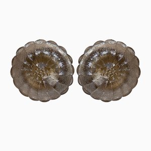 Flower-Shaped Wall Lamps in Glass and Brass Metal from Merca, 1970s, Set of 2