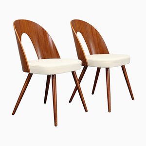 Set of Antonin Suman Chairs in Walnut Finish, 1960s