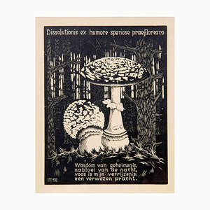 Maurits Cornelis Escher, Fliegenpilz, Holzschnitt, 1931
