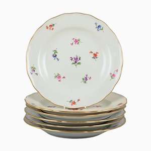 German Dinner Plates in Porcelain from Meissen, 1920s, Set of 6