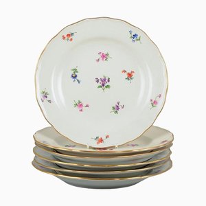 German Dinner Plates in Porcelain from Meissen, 1920s, Set of 6