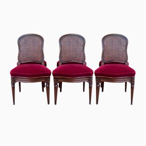 Louis Xvi Style Cane Chairs, Set of 6