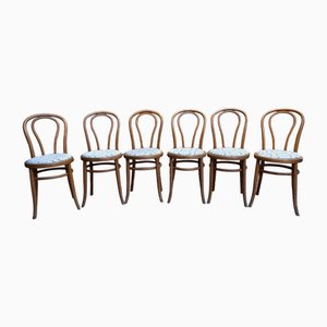 Chairs from Fischel, Set of 6