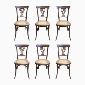 Caned Bistro Chairs, Set of 7