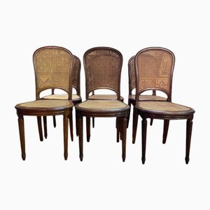 Louis Xvi Style Cane Dining Chairs, Set of 6