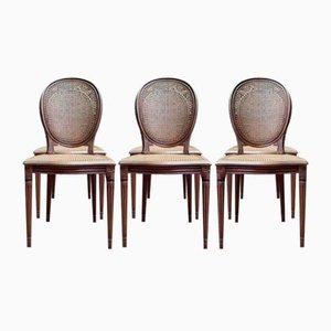 Louis Xvi Style Medallion Chairs in Canework, Set of 6