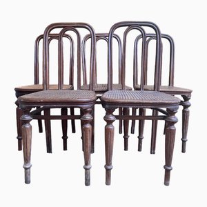 Chaises en Cannage de Thonet, Set de 5