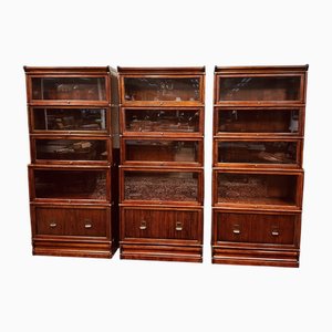Libreria vintage inglese nello stile di Globe Wernicke