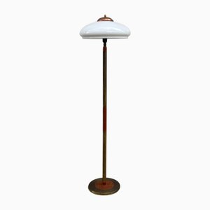 Dänische Funktionalistische Stehlampe aus Messing, Teak und Opalglas, 1950er
