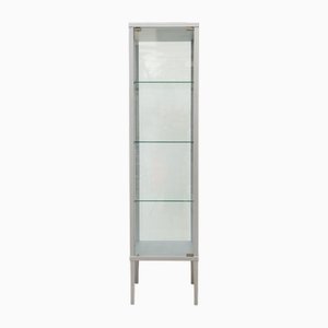 Display Cabinet in Silver Lacquered Wood
