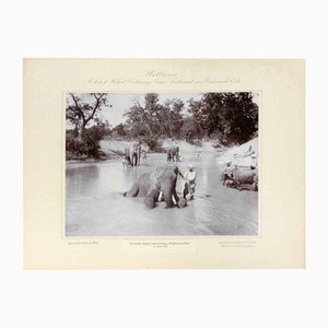Eduard Hodek Jun, India, Nepal, Cattani Camp, Vintage Photograph, 1893