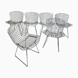 Vintage Chairs by Harry Bertoia for Knoll, 2000, Set of 6