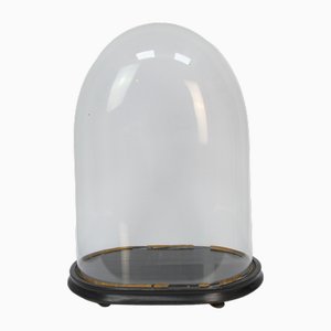 Napoleon III Glass Dome