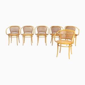 Bauhaus Bentwood Webbing Rattan Chairs, Netherlands, 1980s, Set of 5