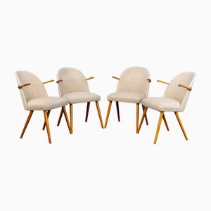 Sillas de cóctel Mid-Century. Juego de 4