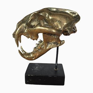 Bronze Lion Skull Sculpture, 1950s