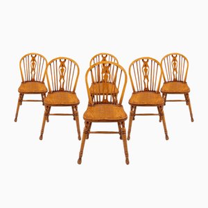 Vintage Dining Chairs from Ercol, 1950s, Set of 6