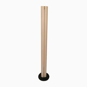 Megaron Land Floor Lamp by Gianfranco Frattini for Artemide, 1980s