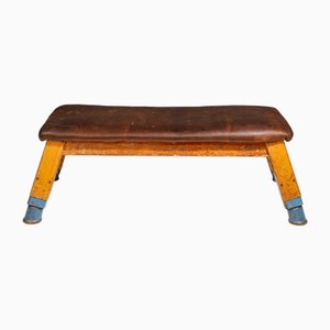 Industrial Czechoslovakian Leather Gym Bench, 1950s