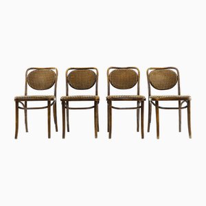 Sedie vintage in legno curvato nello stile di Thonet, anni '70, set di 4
