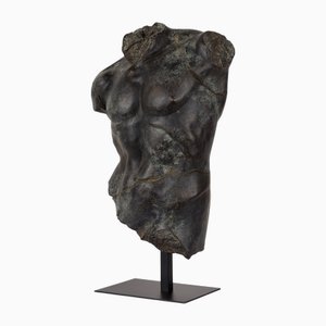 Large Bronze Maximillian Torso from Pure White Lines