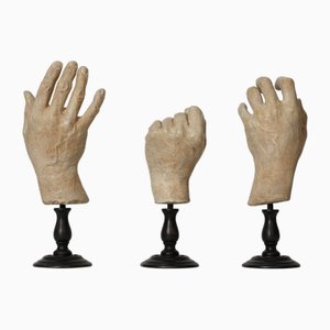 Hand Study Collection from Pure White Lines
