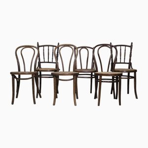 Bistrostühle, 1900er, 6 . Set