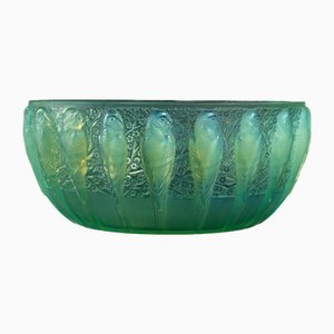Parruches Cup in Peppermint by René Lalique, 1931