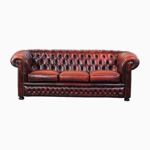 English Chesterfield 2.5-seater Sofa in Cowhide