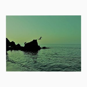 Justyna Napiorkowska, The Jump, Sea, Photograph