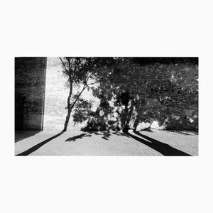 Justyna Napiorkowska, Shadows, Black & White, Photograph