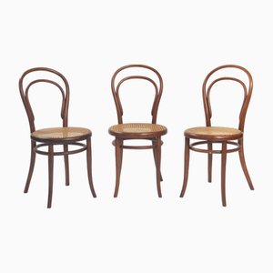 Antique Bistro Chairs No 14 118 in Bentwood from Thonet, 1880, Set of 3