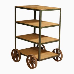Industrielles Vintage Regal auf Rädern, Ehemalige Tschechoslowakei, 1960er
