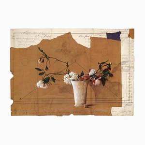 Wolfgang Zelmer, Rose E Cubo, Print