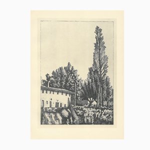 Giorgio Morandi, Landscape with the Big Poplar, 1927-1957, Lithograph