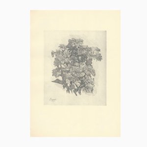 Giorgio Morandi, Zinniengruppe, 1931-1957, Lithographie