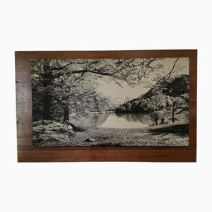 Berglandschaft, 1960er, Fotografie auf Holzplatte