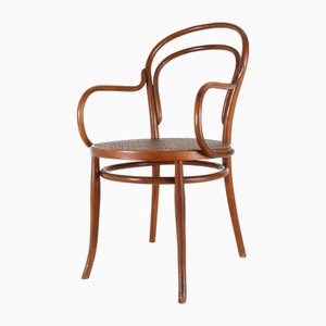 Vintage Armchair in Bentwood with Canework, 1950