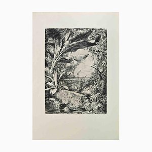 Jules Jacquemart, Pflanzen des Gewächshauses, Radierung, 1862