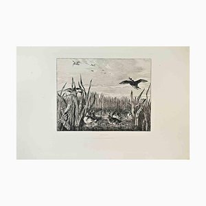 Félix Bracquemond, Sarcelles, Radierung, 1870er