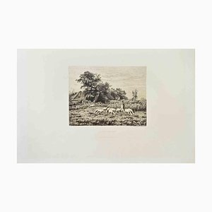 Jean-Ferdinand Chaigneau, Le Petit Troupeau, Etching, 1870s