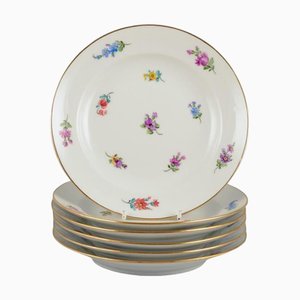 Plates with Polychrome Flower Motifs with Gold Rim, Meissen, Germany, 1920s, Set of 6