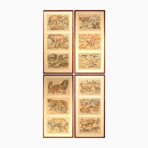 After Gabriel Gostiaux, Französische Tiertriptychen, 1890, Lithographien, 4er Set