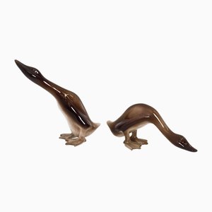 Airbrushed Ceramic Decorative Ducks by Ugo Zaccagnini, 1950s, Set of 2
