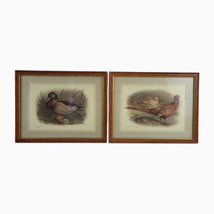 Duck & Pheasant, Gravures, 1930s, Encadré, Set de 2